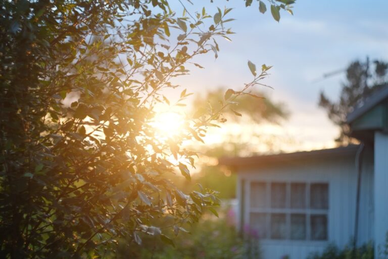 Zofia Kossak o polskiej wsi – wieś w jej twórczości